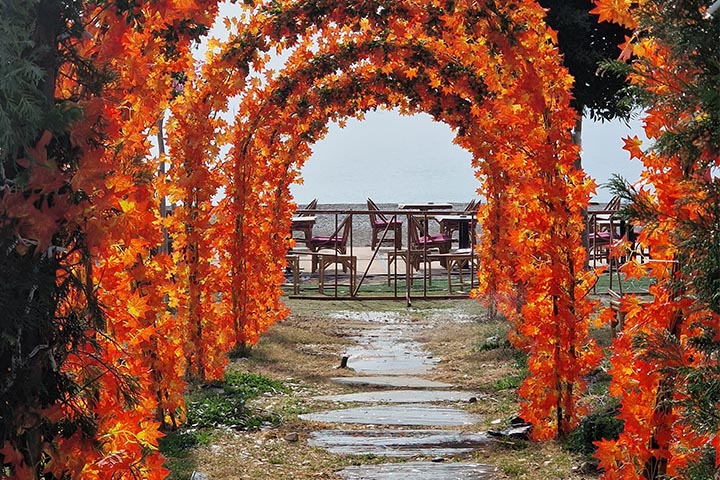 Metal Garden Arches: A Grand Entry to Nature